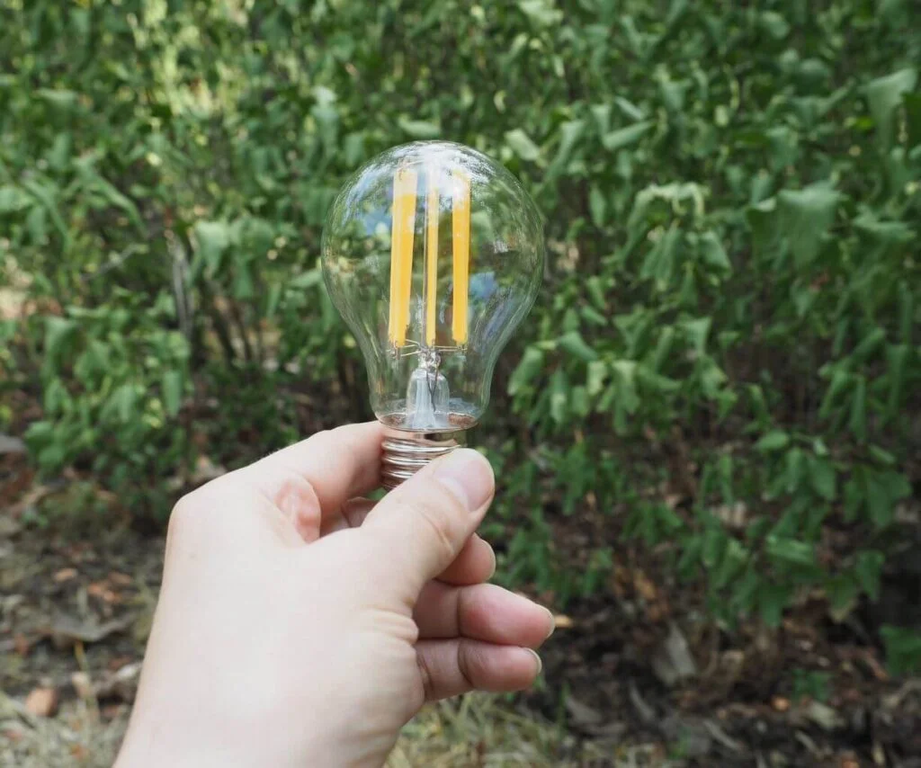 A hand holding a led light in front of green plants